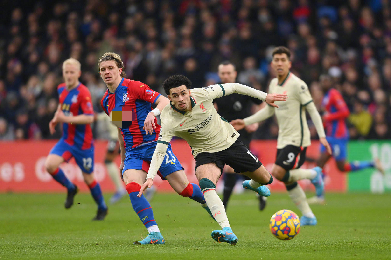 球队的整体 球队的整体